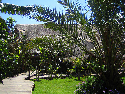 id:2981033109
hash: d8f8f384653f652cc7b1f308d862c29