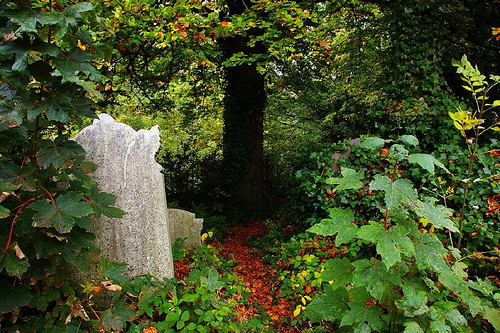 id:1704795519
hash: fb4e91c58196a9a93a918e227738953