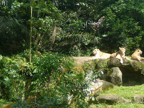 id:4269468328
hash: fde5e9cada871d1231e65de9cbc8e60