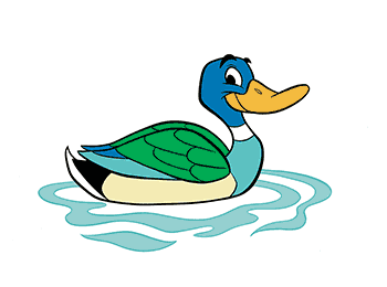 duck
