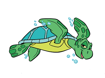 sea-turtle
