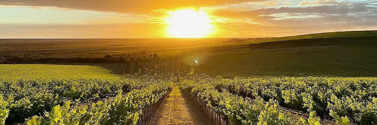 The Riesling Trail, South Australia