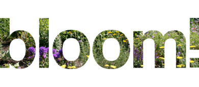 Project logo