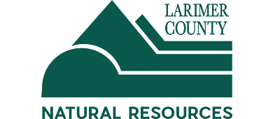 Project logo