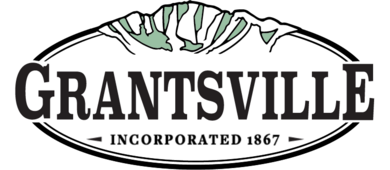 Project logo