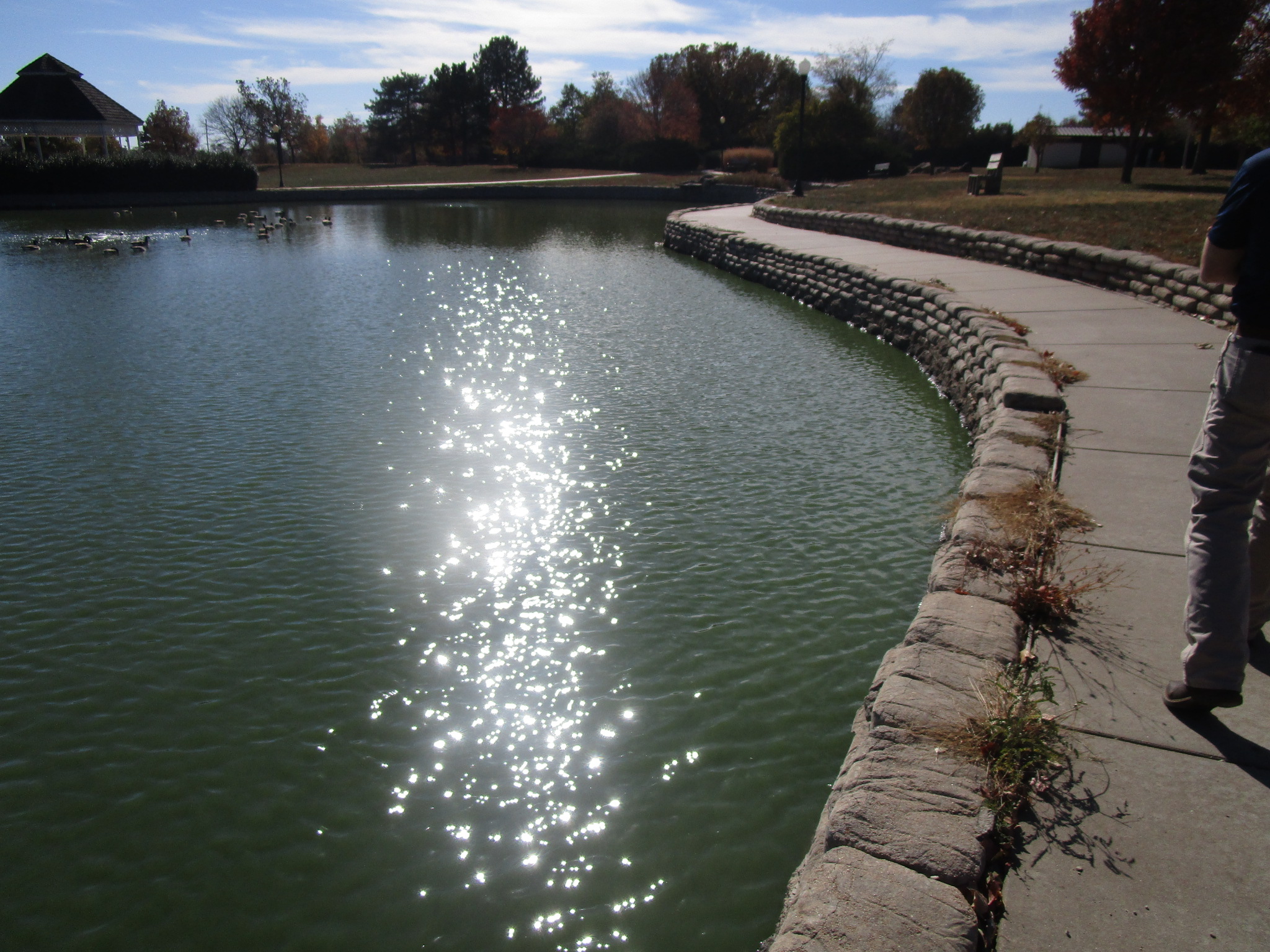 Surrounding Wall Deteriorating & Sidewalk Settling