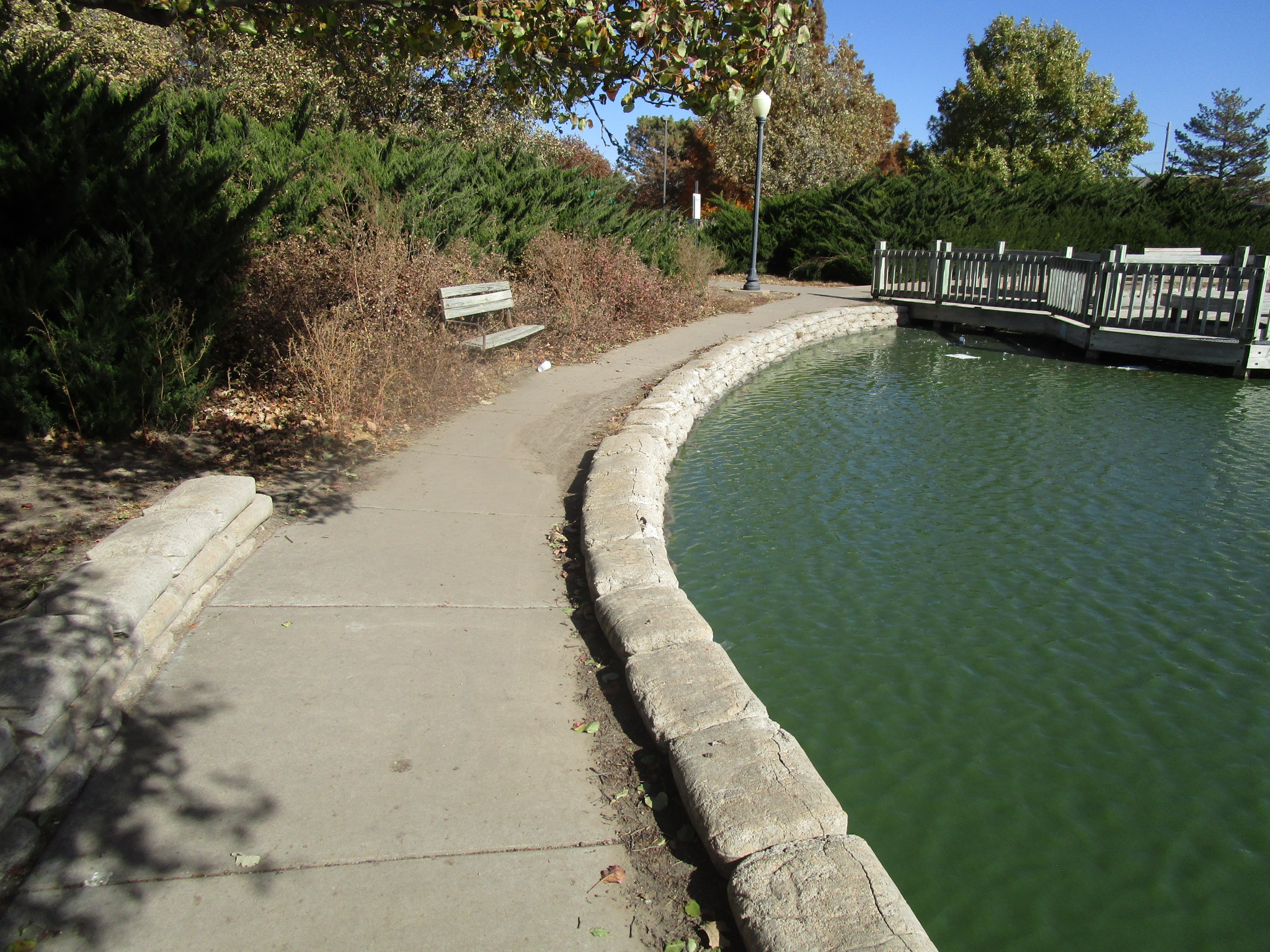 Overgrown Plantings and Landscape