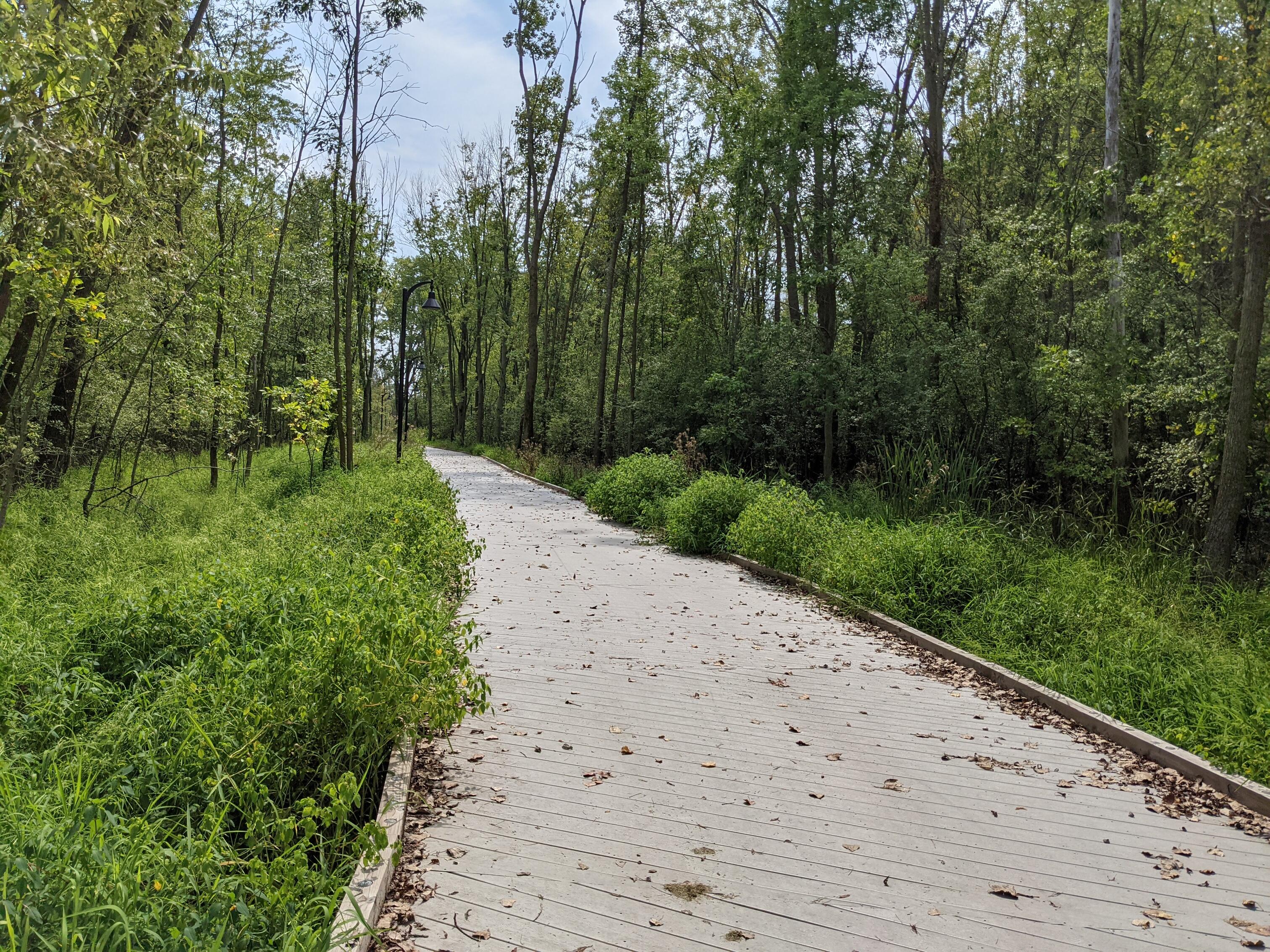 Boardwalk through Menasha Conservancy