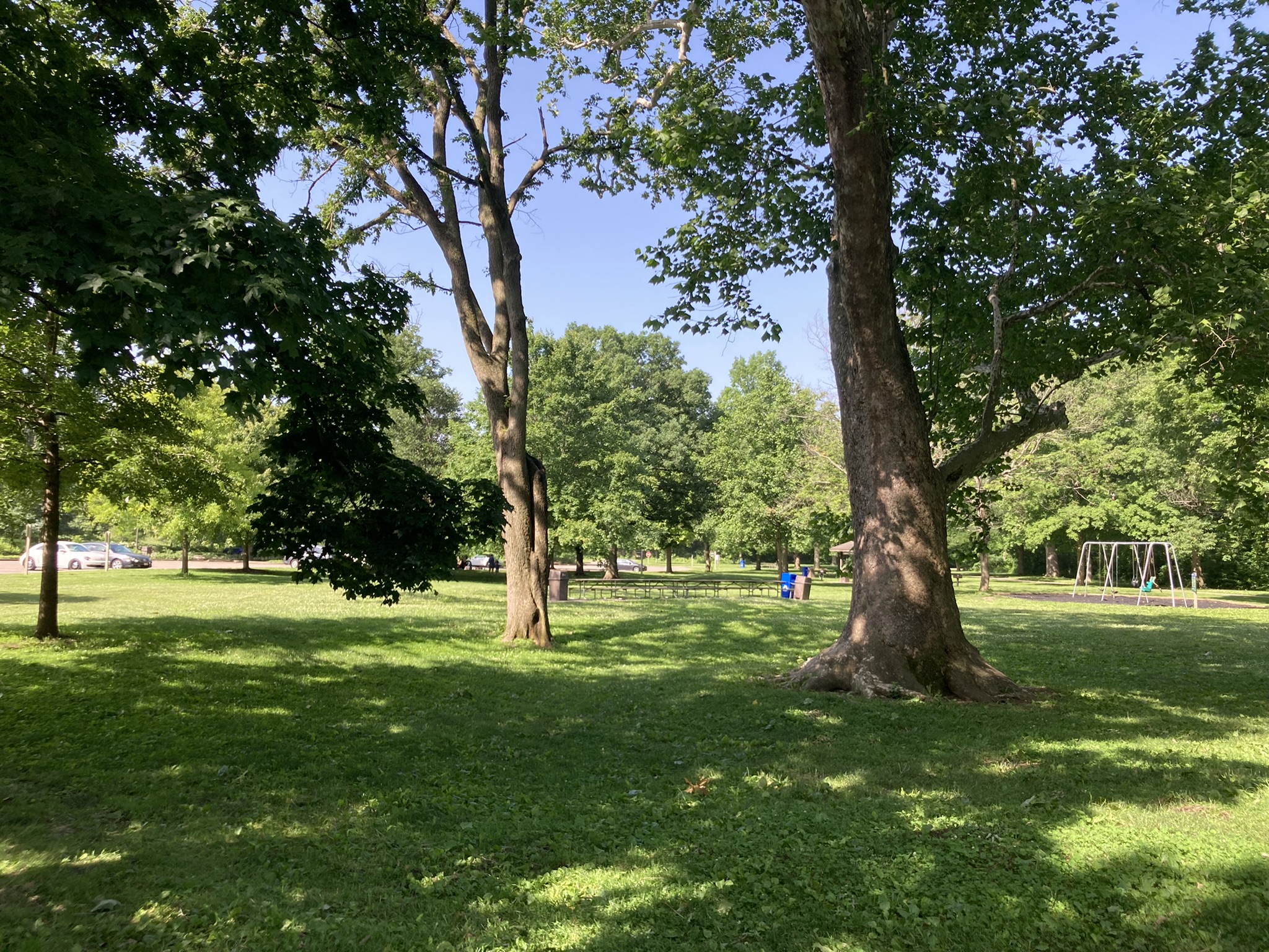 Park Image 