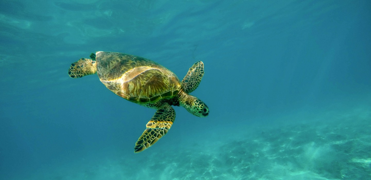 Xiao Liuqiu Island 3- Day Free & Easy Package