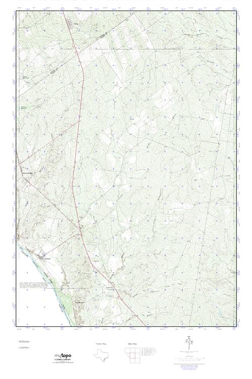 MyTopo Salineno, Texas USGS Quad Topo Map