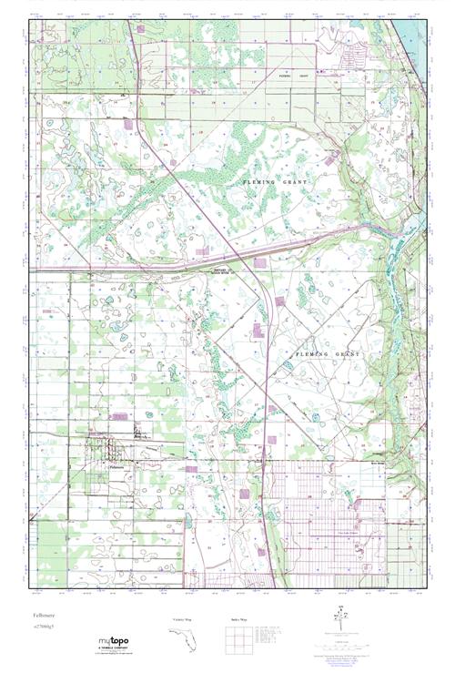 MyTopo Fellsmere, Florida USGS Quad Topo Map
