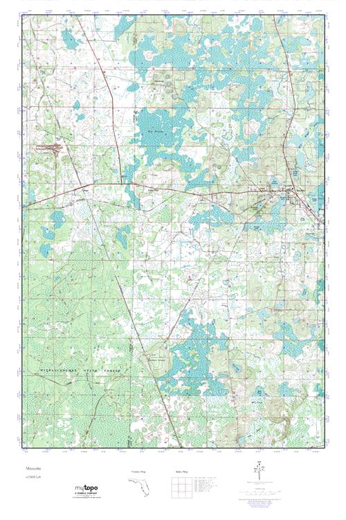 MyTopo Mascotte, Florida USGS Quad Topo Map