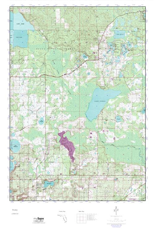MyTopo Paisley, Florida USGS Quad Topo Map