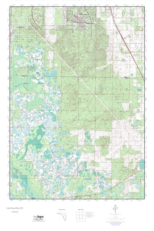 MyTopo Lake Panasoffkee NW, Florida USGS Quad Topo Map