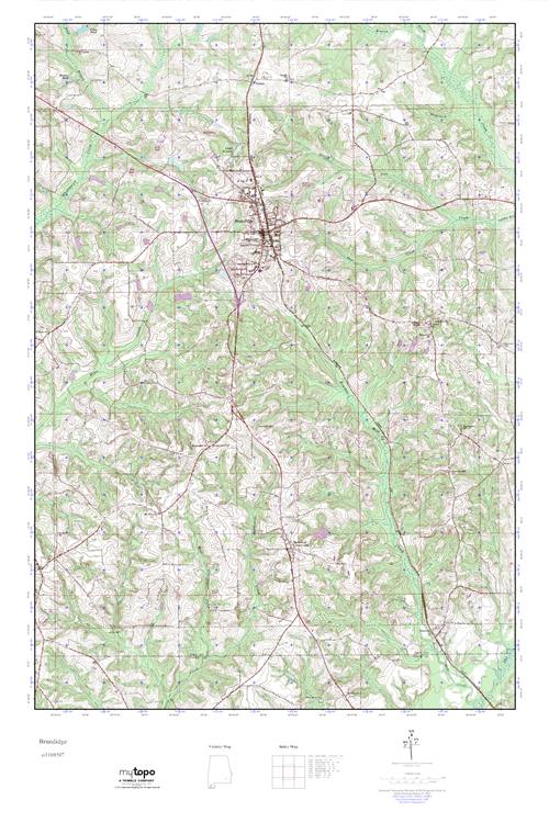 MyTopo Brundidge, Alabama USGS Quad Topo Map