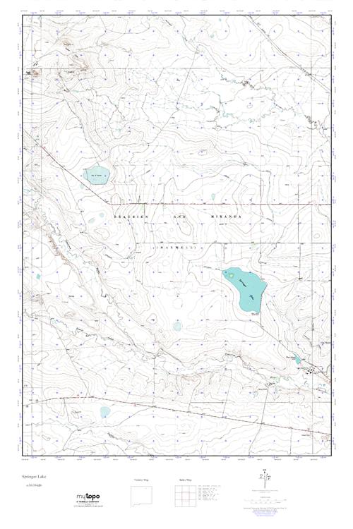 MyTopo Springer Lake, New Mexico USGS Quad Topo Map