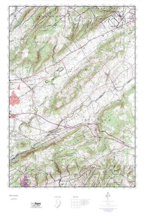 MyTopo Bloomsbury, New Jersey USGS Quad Topo Map