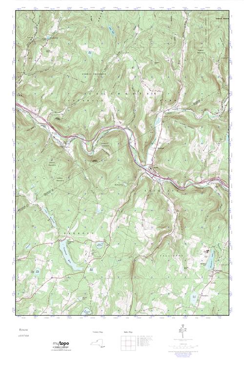 MyTopo Roscoe, New York USGS Quad Topo Map