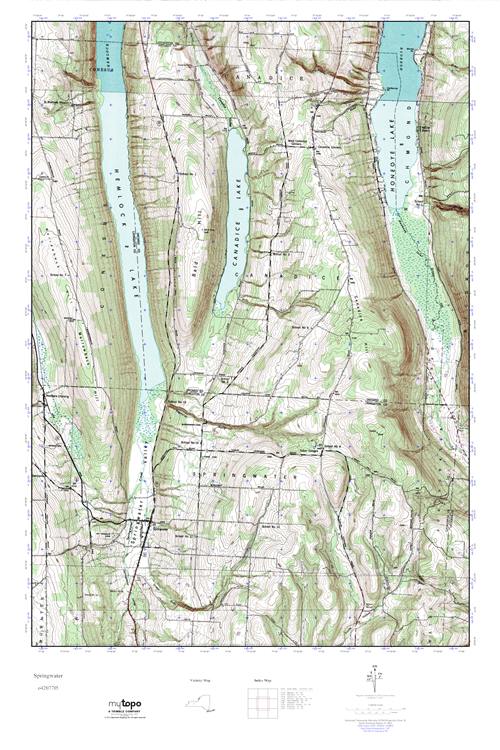 MyTopo Springwater, New York USGS Quad Topo Map