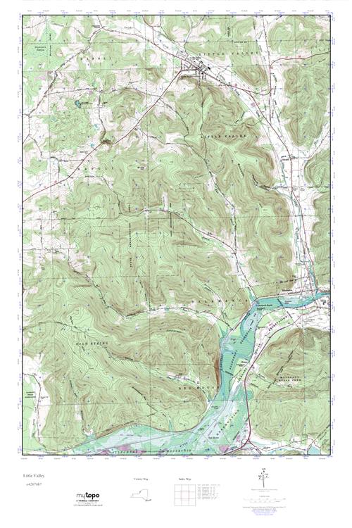MyTopo Little Valley, New York USGS Quad Topo Map