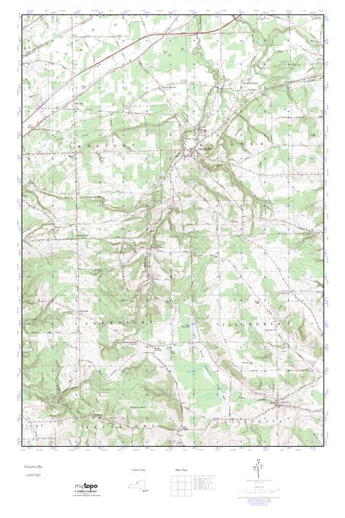 MyTopo Forestville, New York USGS Quad Topo Map