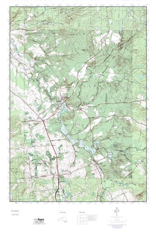 MyTopo Forestport, New York USGS Quad Topo Map