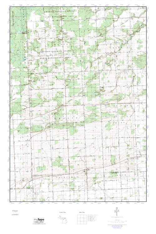 MyTopo Chapin, Michigan USGS Quad Topo Map