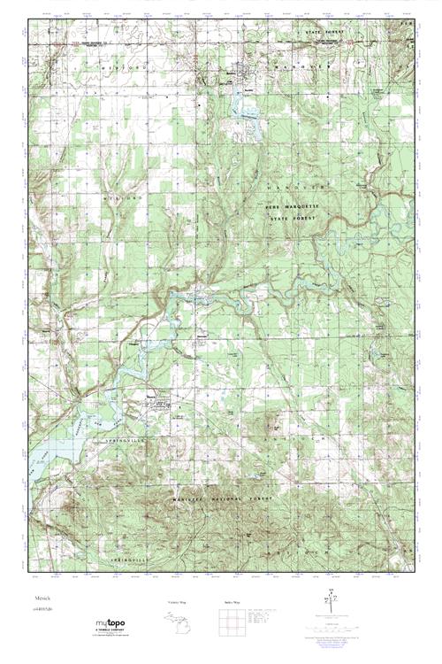 MyTopo Mesick, Michigan USGS Quad Topo Map