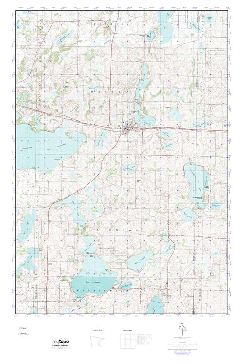 MyTopo Dassel, Minnesota USGS Quad Topo Map