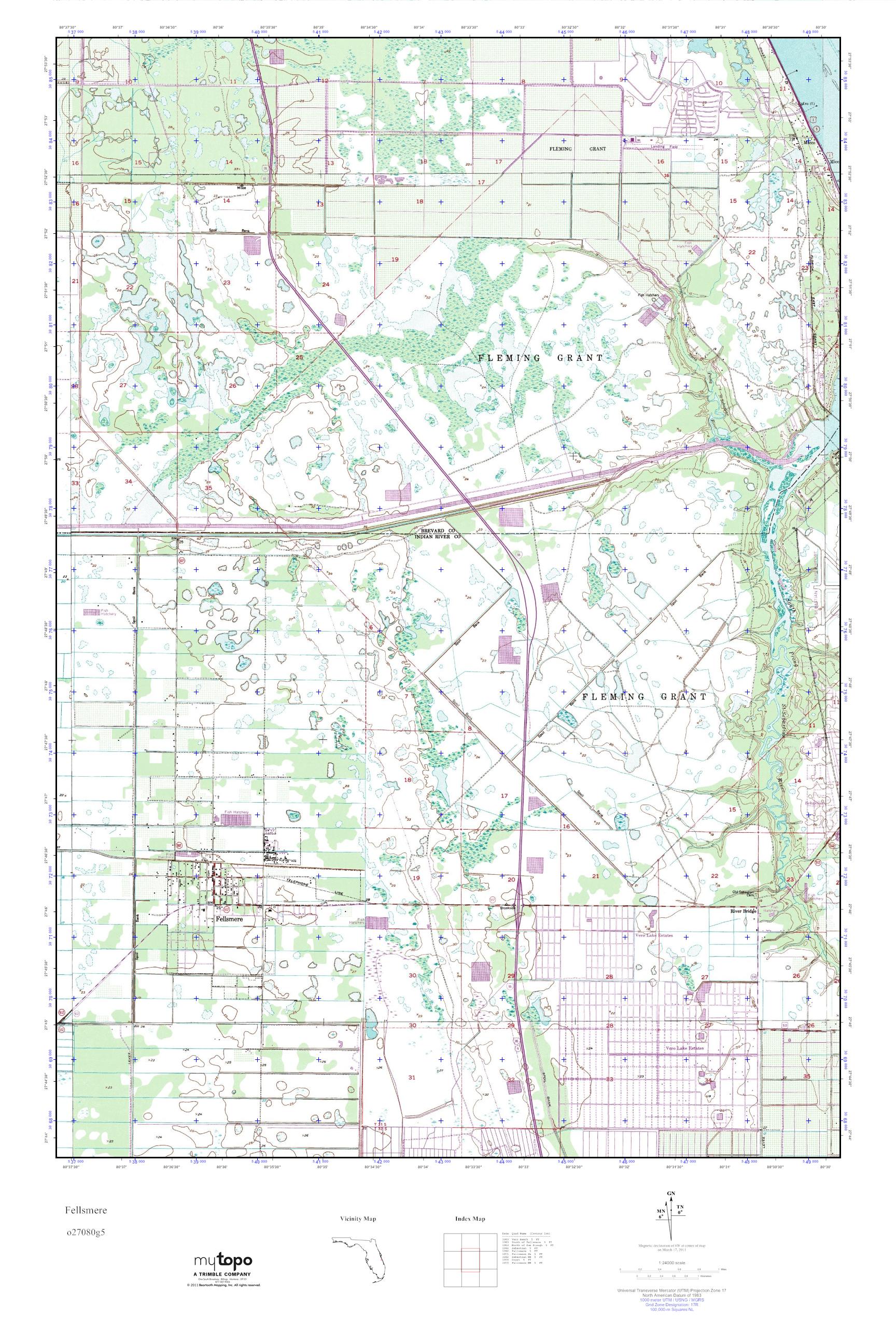 MyTopo Fellsmere, Florida USGS Quad Topo Map
