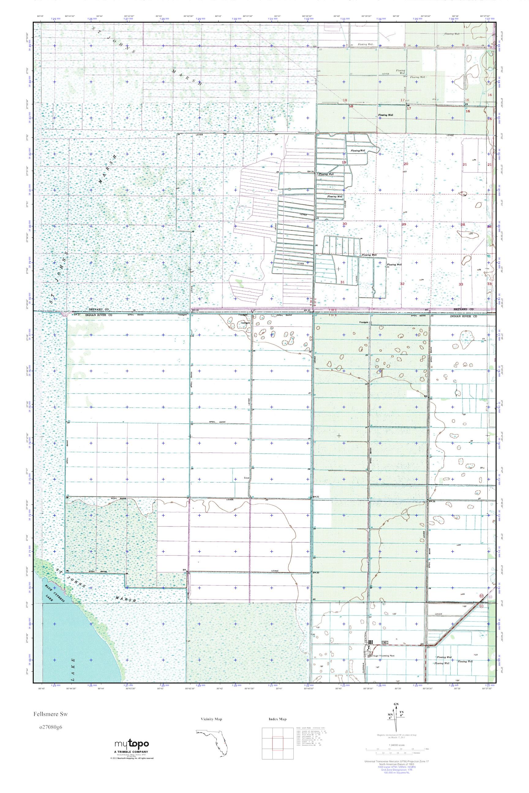 MyTopo Fellsmere Sw, Florida USGS Quad Topo Map