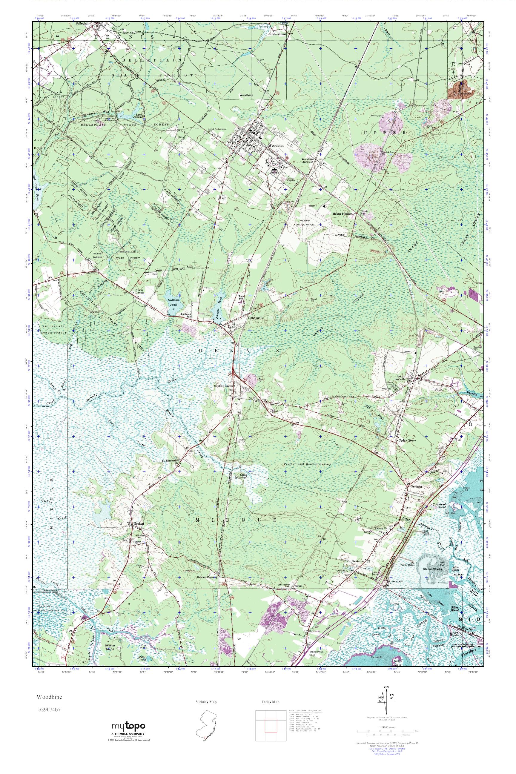 MyTopo Woodbine, New Jersey USGS Quad Topo Map