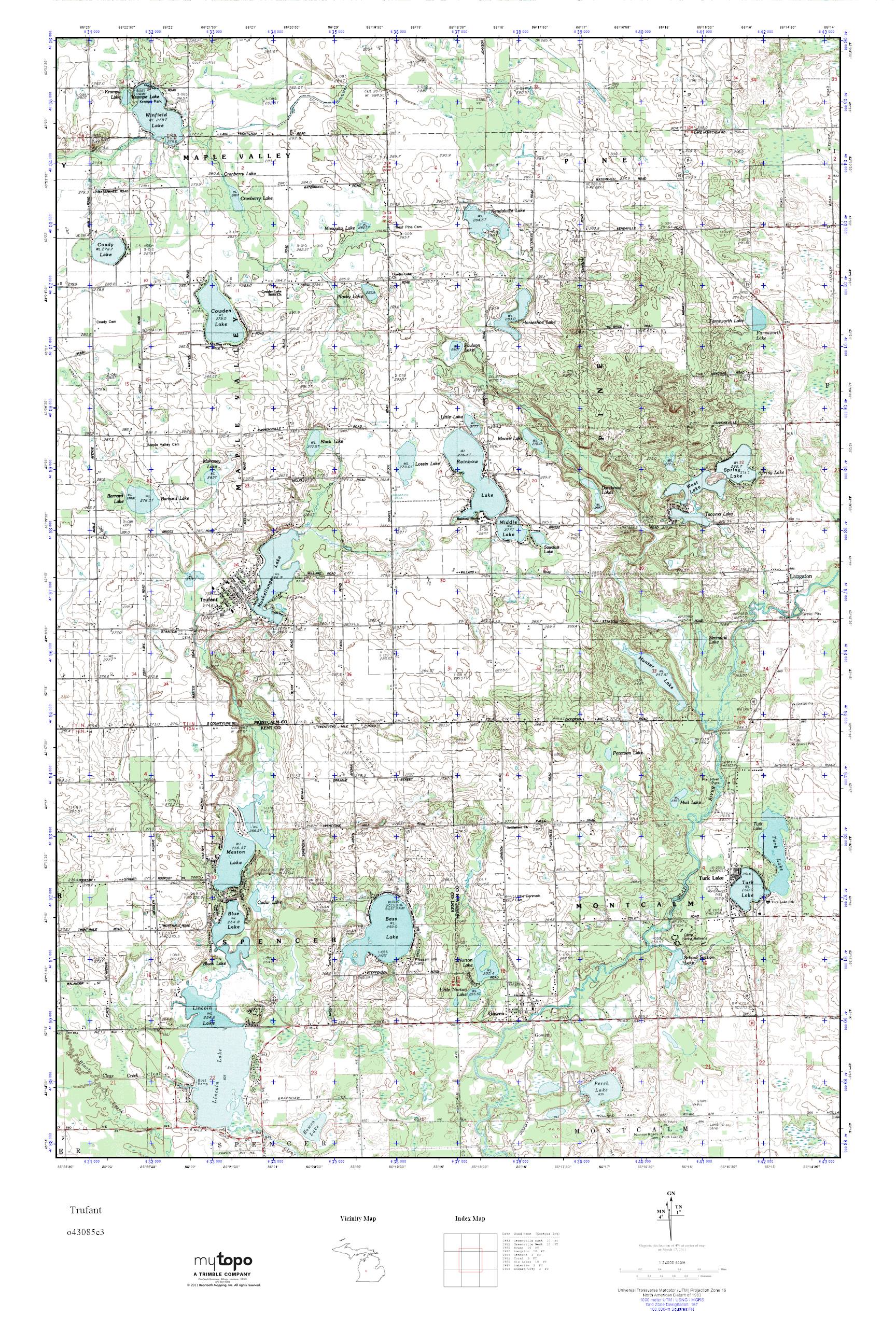 MyTopo Trufant, Michigan USGS Quad Topo Map
