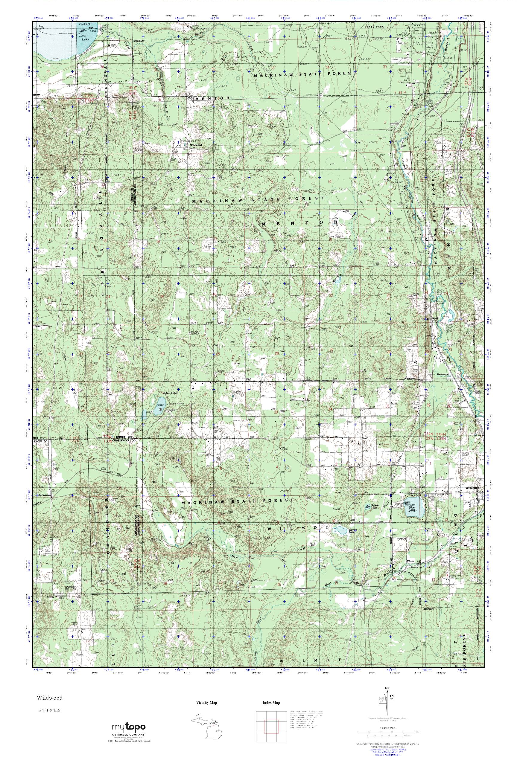 MyTopo Wildwood, Michigan USGS Quad Topo Map