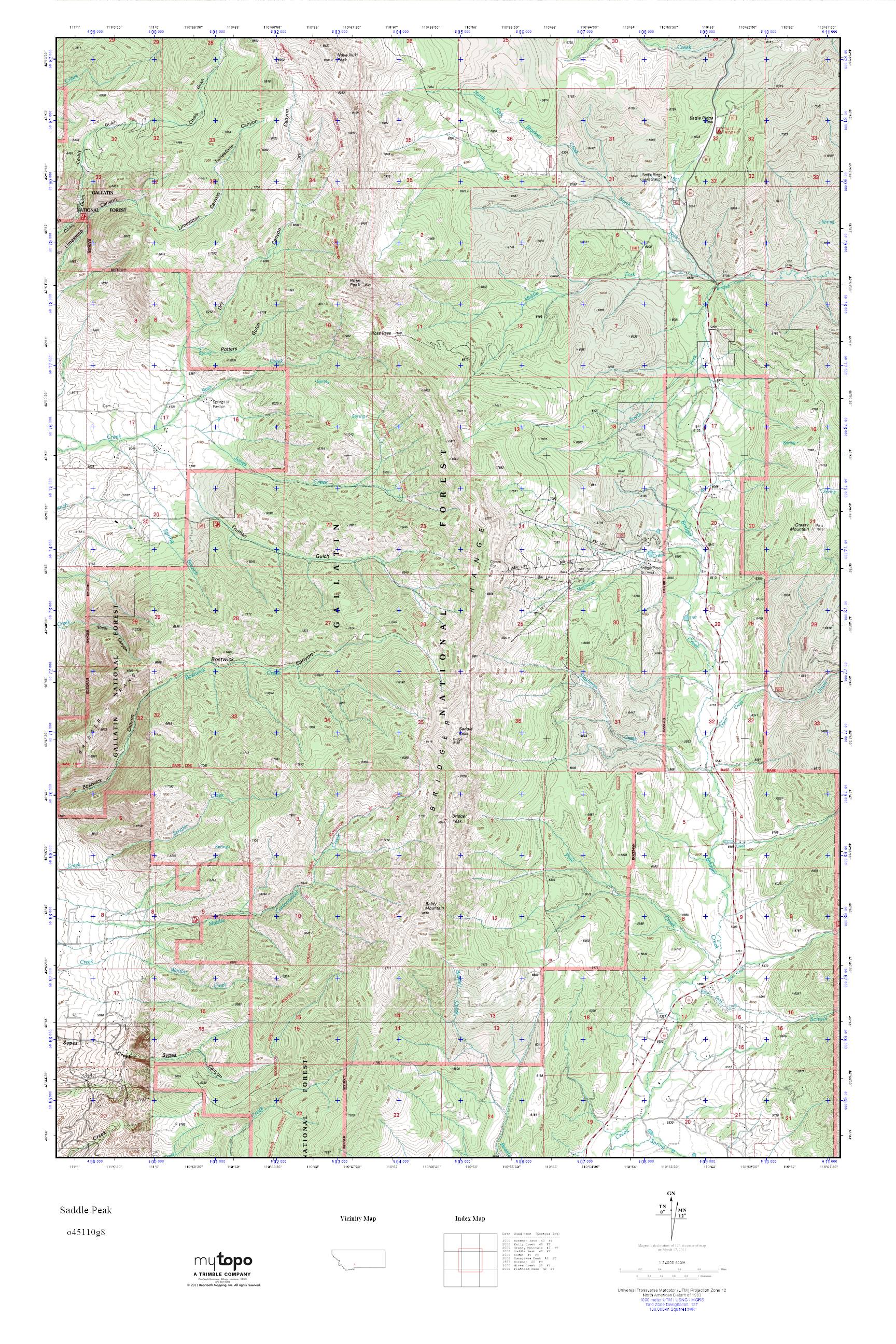 MyTopo Saddle Peak Montana USGS Quad Topo Map