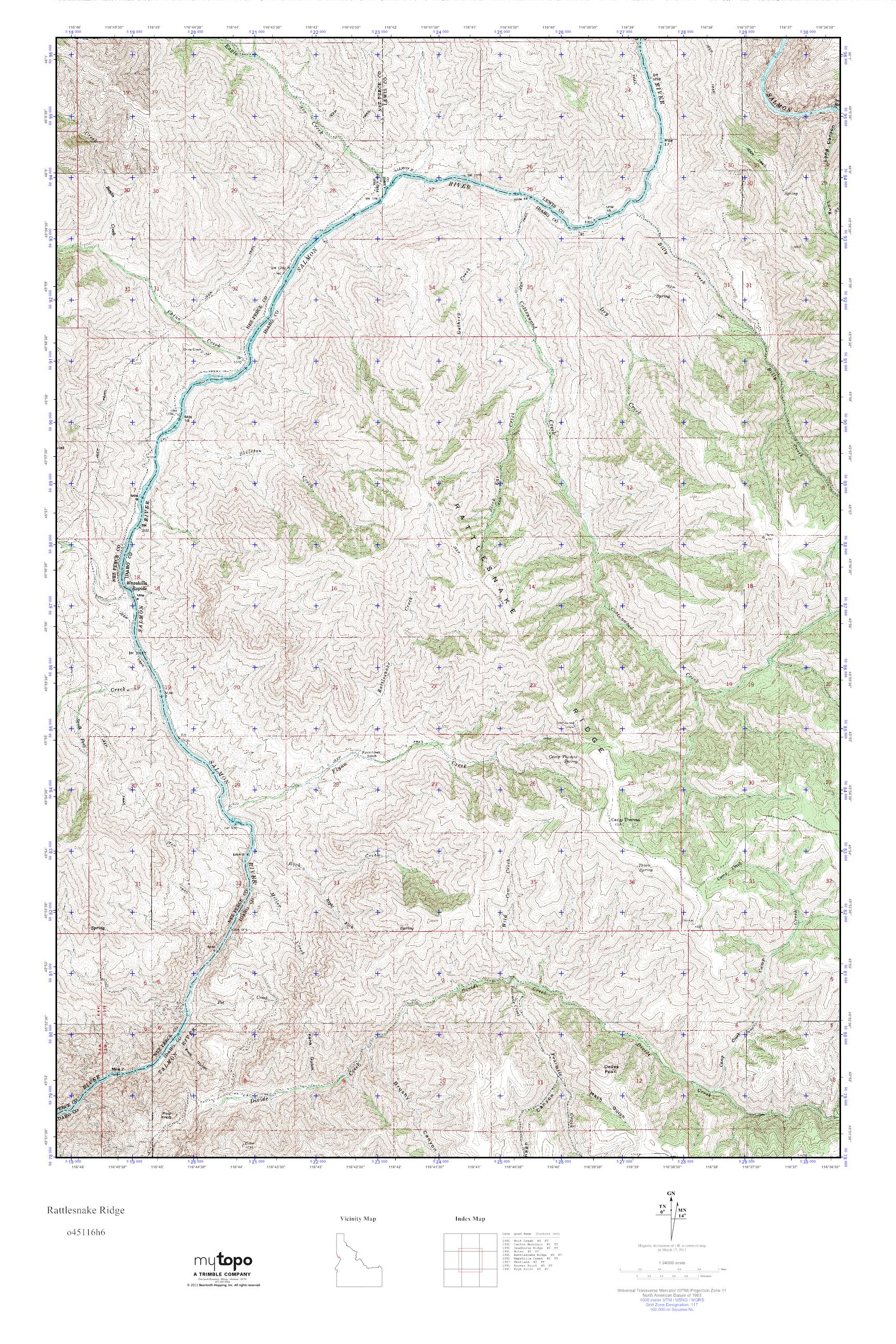 MyTopo Rattlesnake Ridge, Idaho USGS Quad Topo Map