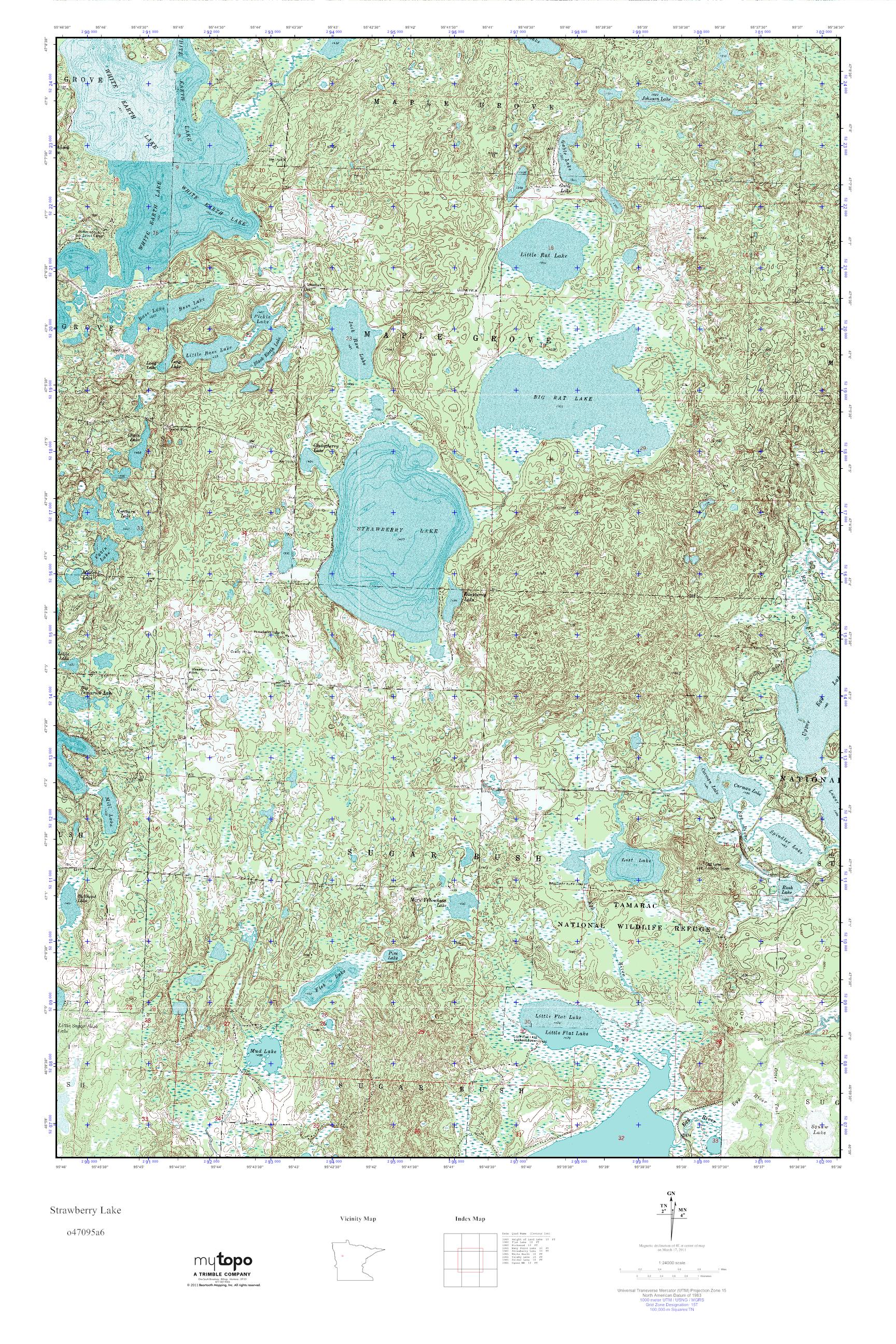 MyTopo Strawberry Lake, Minnesota USGS Quad Topo Map
