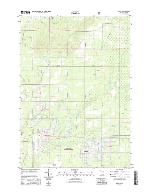 MyTopo Baldwin, Michigan USGS Quad Topo Map