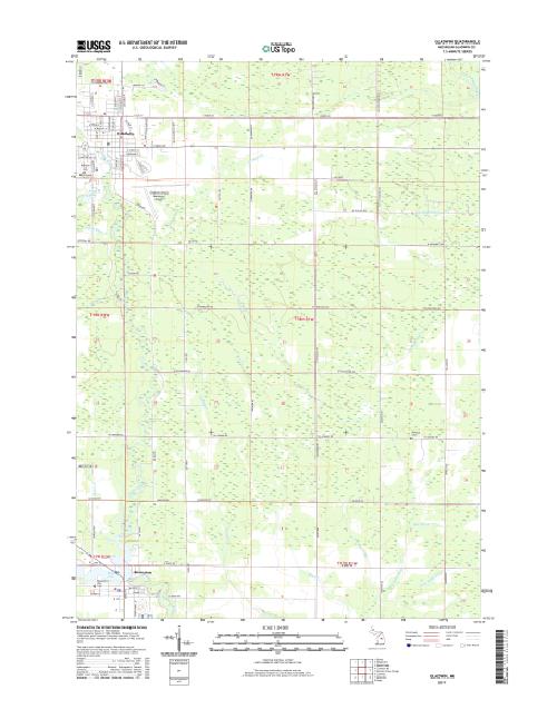MyTopo Gladwin, Michigan USGS Quad Topo Map