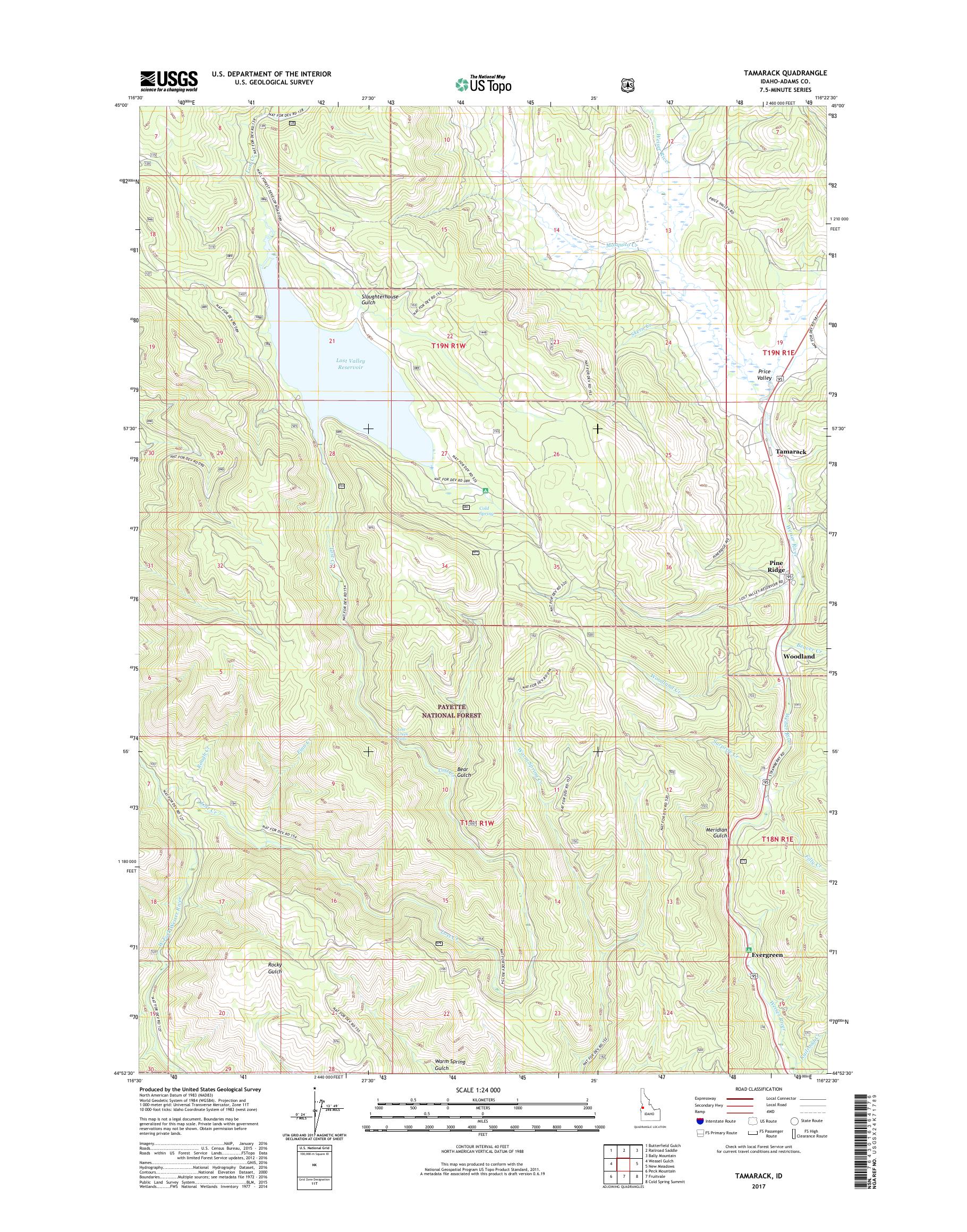 MyTopo Tamarack, Idaho USGS Quad Topo Map