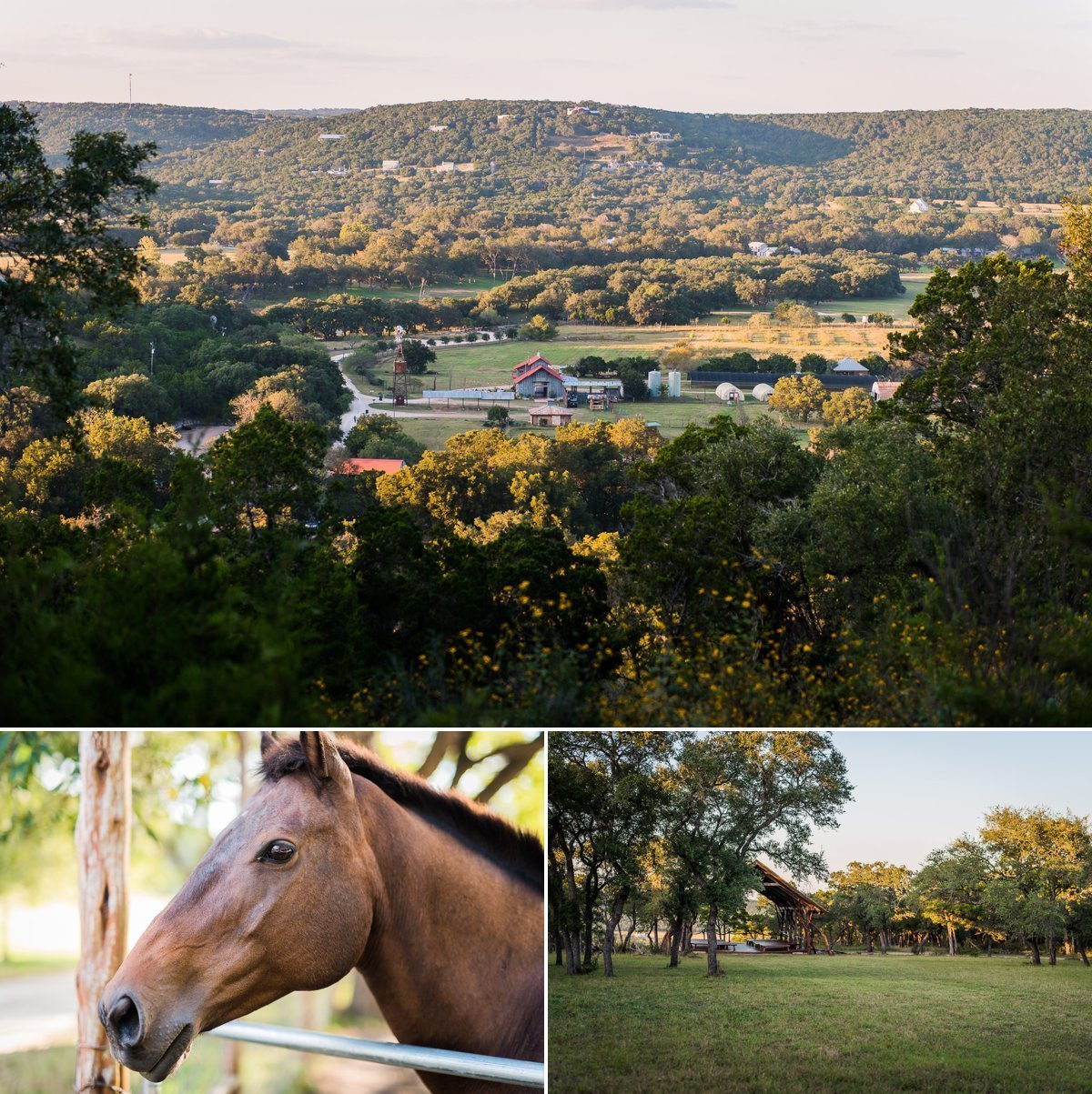 Montesino Ranch Wedding