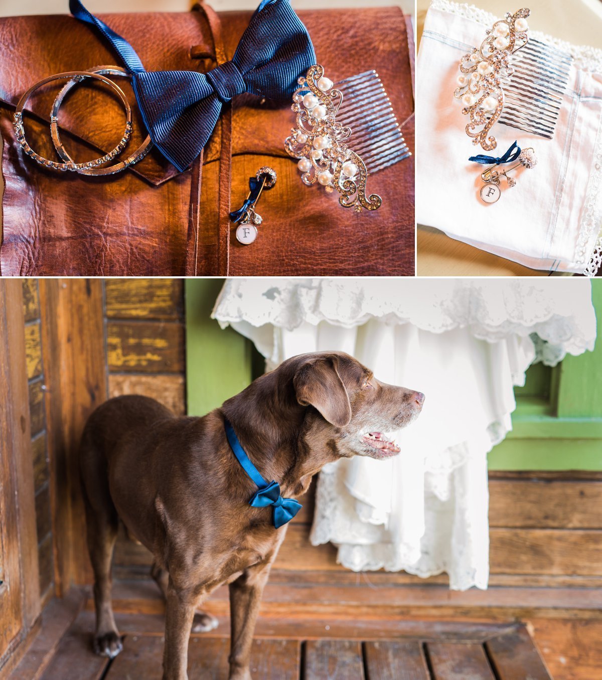 Montesino Ranch Wedding details with dog