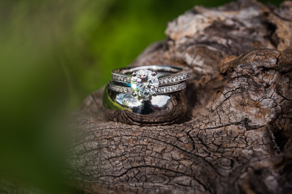 Montesino Ranch Wedding wedding rings