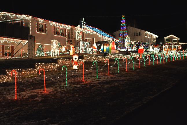 donald r serfasstimes news the spectacular 65000 light holiday display of frank - Christmas Light Tv Show donald r serfasstimes news the spectacular 65000 light holiday display of frank - Christmas Light Tv Show