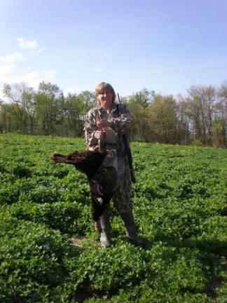 medical call letter 2018 tn and Observations Your Thoughts about Wild Turkeys Wanted: