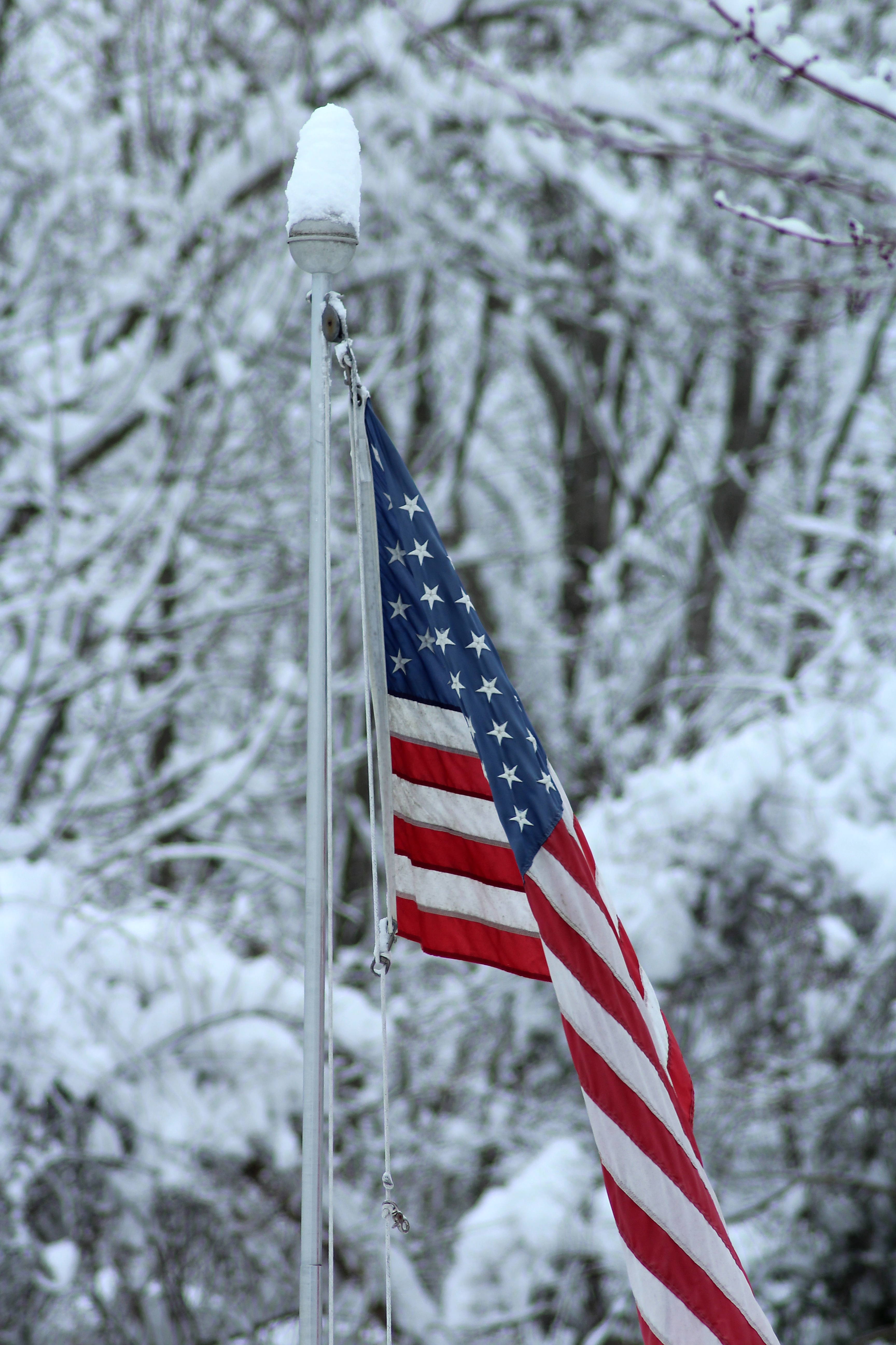 We Still Have Lot Of Snow On Ground But >> March Continues To Roar 11 Plus Inches Of Snow Fall During March 3 We Still Have Lot Of Snow On Ground But >> March Continues To Roar 11 Plus Inches Of Snow Fall During March 3