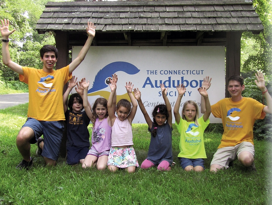 Summer Camps Activities 2019 Connecticut Audubon Society Camps