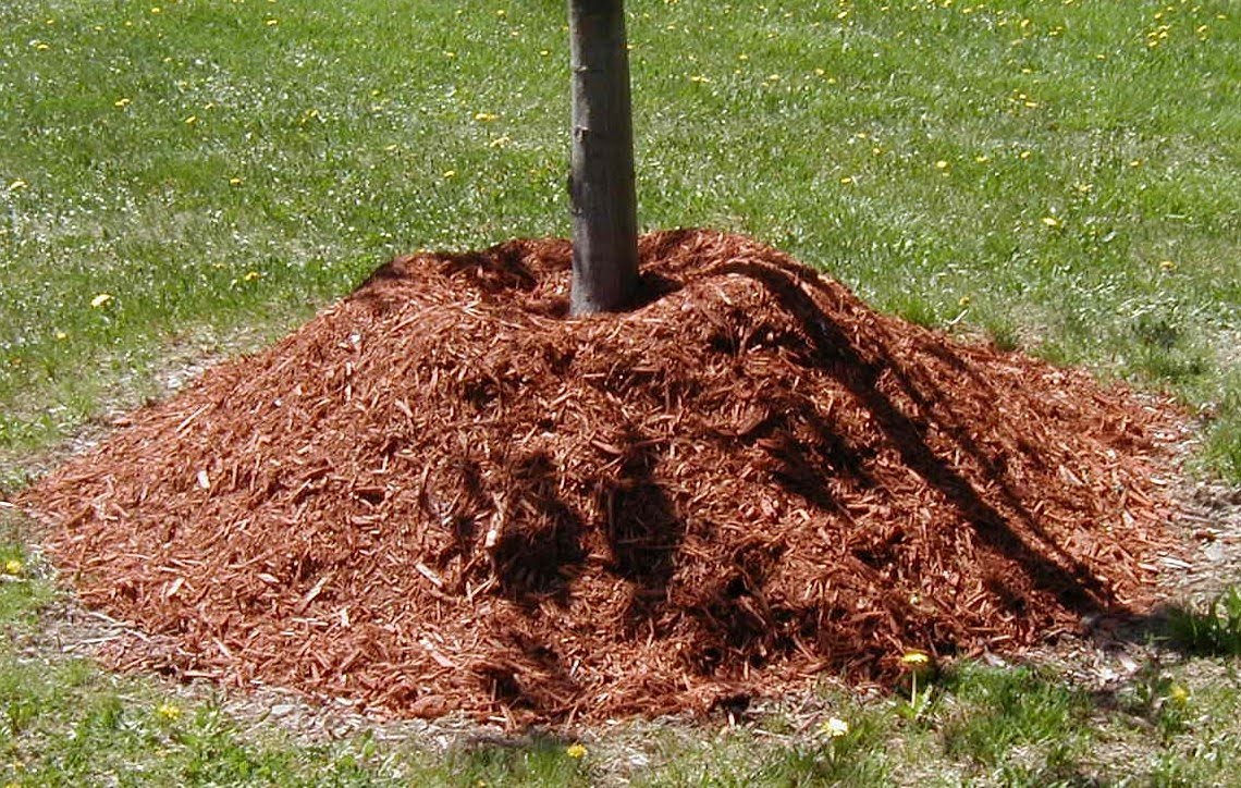 How to and for what to conduct soil mulching How to and for what to conduct soil mulching