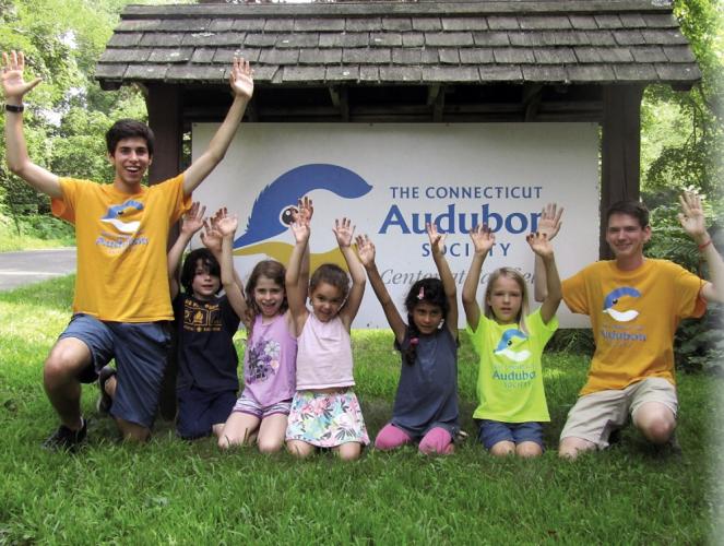 Summer Camps Activities 2019 Connecticut Audubon Society Camps